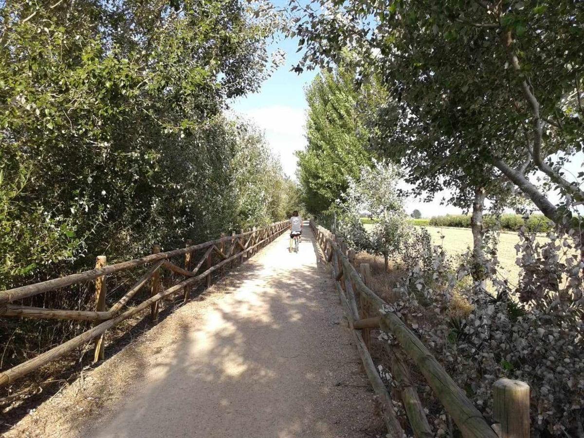 Casetes Del Delta Sant Jaume d’Enveja Exterior foto